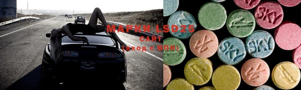 ECSTASY Белокуриха