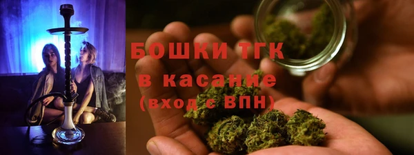 ECSTASY Белокуриха