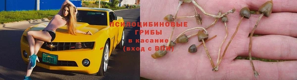 ECSTASY Белокуриха