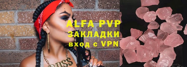 ECSTASY Белокуриха