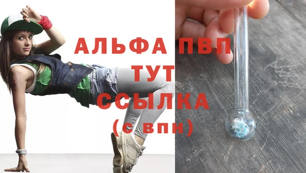 ECSTASY Белокуриха