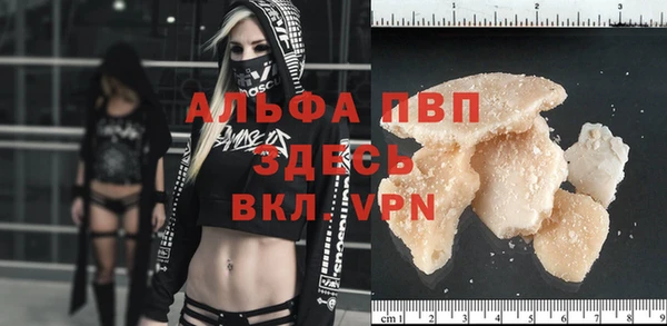 ECSTASY Белокуриха